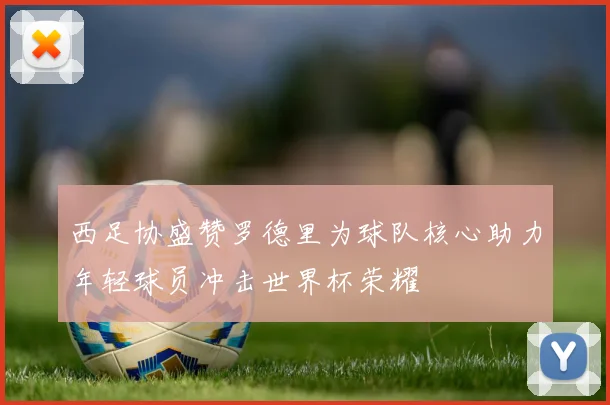 西足协盛赞罗德里为球队核心助力年轻球员冲击世界杯荣耀