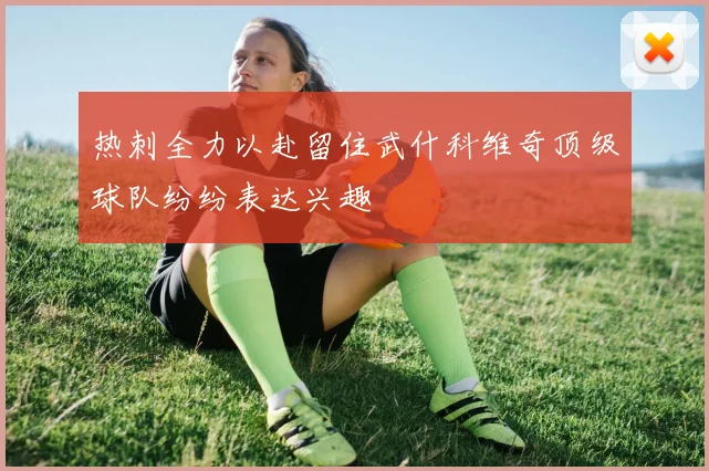 热刺全力以赴留住武什科维奇顶级球队纷纷表达兴趣